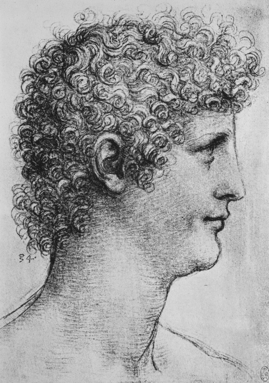 右派青年领袖，c1480 1945 作者 达芬奇（Leonardo da Vinci）