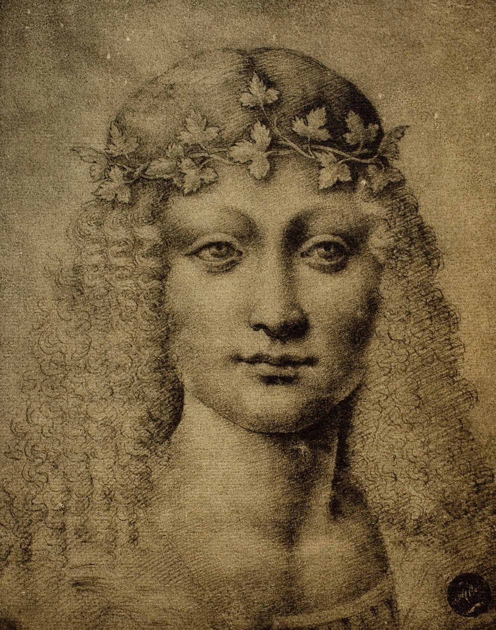 一个女孩或一个年轻的Bachus的头;莱昂纳多达芬奇画的。 Gallerie dellAccademia，威尼斯 作者 达芬奇（Leonardo da Vinci）