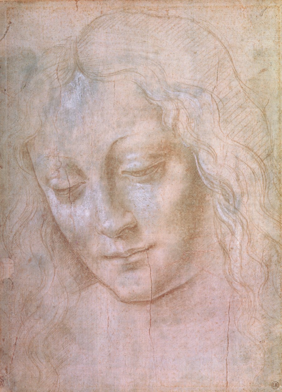 一个女人的头（金属点用水粉加高） 作者 达芬奇（Leonardo da Vinci）