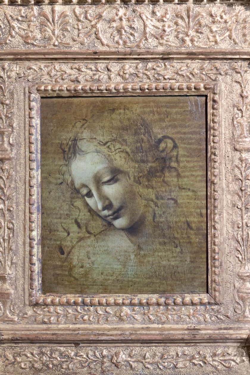 妇女头像，名为 "la scapigliata"，约 1492-1501 年（油画板） 作者 达芬奇（Leonardo da Vinci）