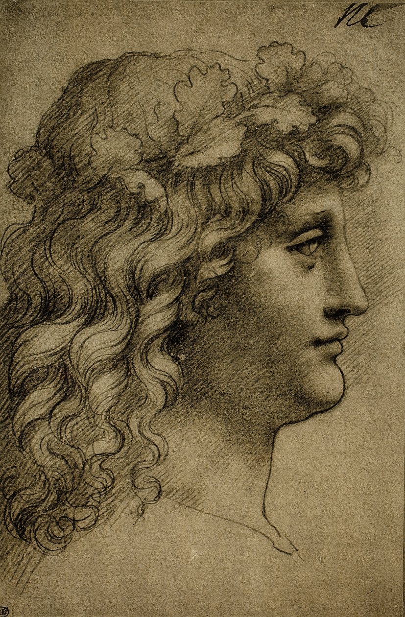 一个年轻人的头;莱昂纳多达芬奇画的。巴黎的卢浮宫 作者 达芬奇（Leonardo da Vinci）