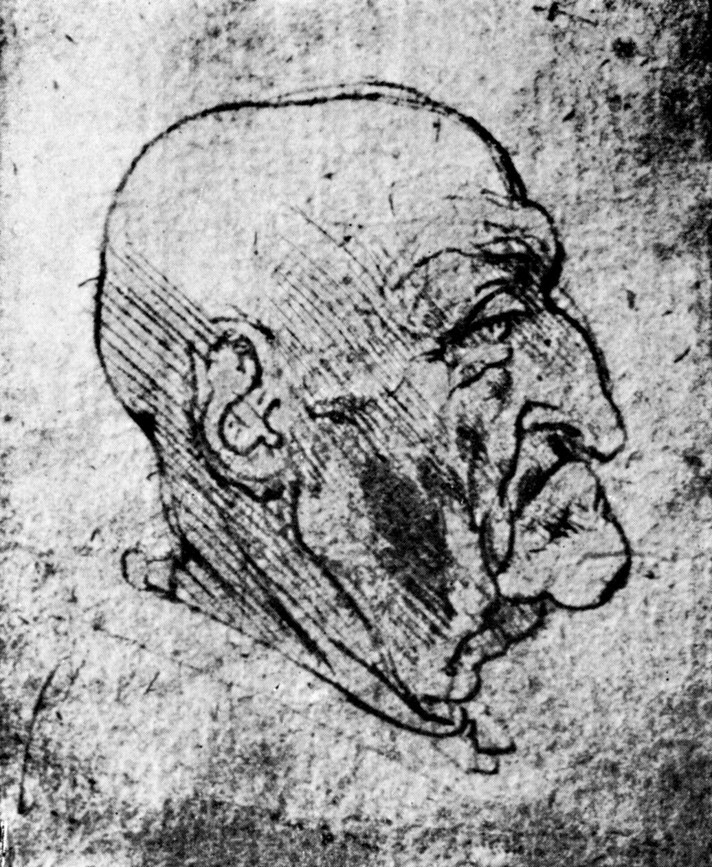 老人头，1913年 作者 达芬奇（Leonardo da Vinci）