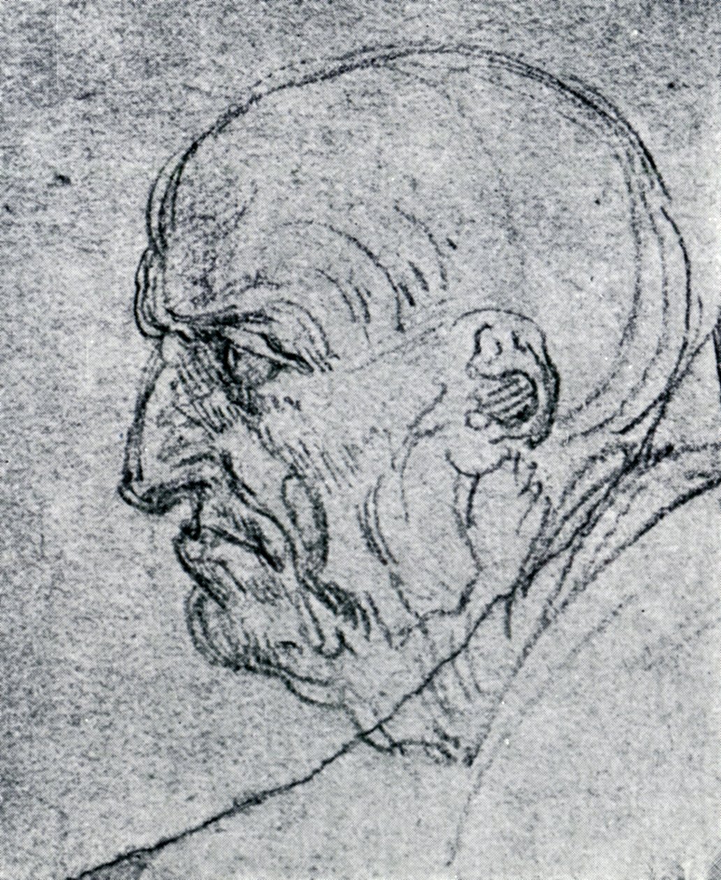 老人头，1913年 作者 达芬奇（Leonardo da Vinci）