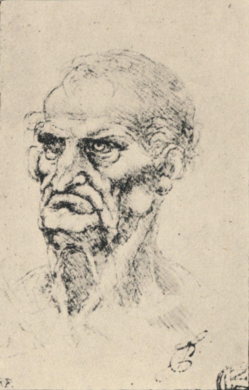 左手四分之三老人的头，c1480 1945年 作者 达芬奇（Leonardo da Vinci）