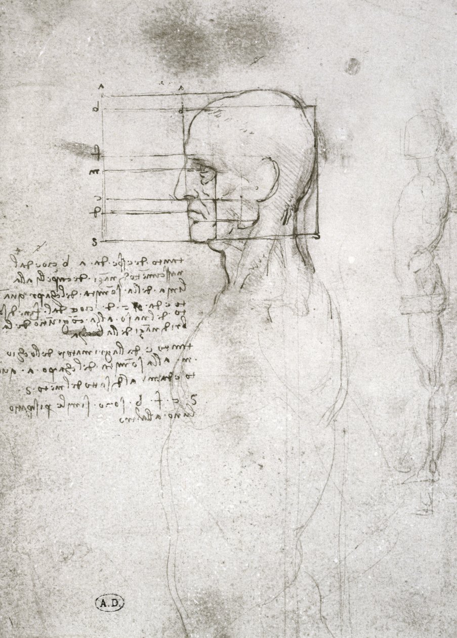配置文件中的老人头，传真副本（笔和纸上的墨水） 作者 达芬奇（Leonardo da Vinci）