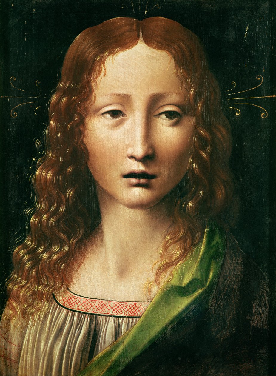 救主的头 作者 达芬奇（Leonardo da Vinci）