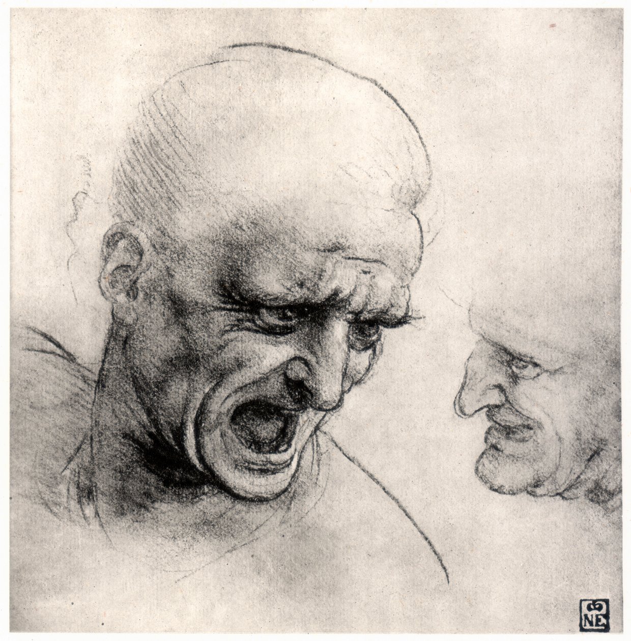 战士头（1503-1505） 作者 达芬奇（Leonardo da Vinci）