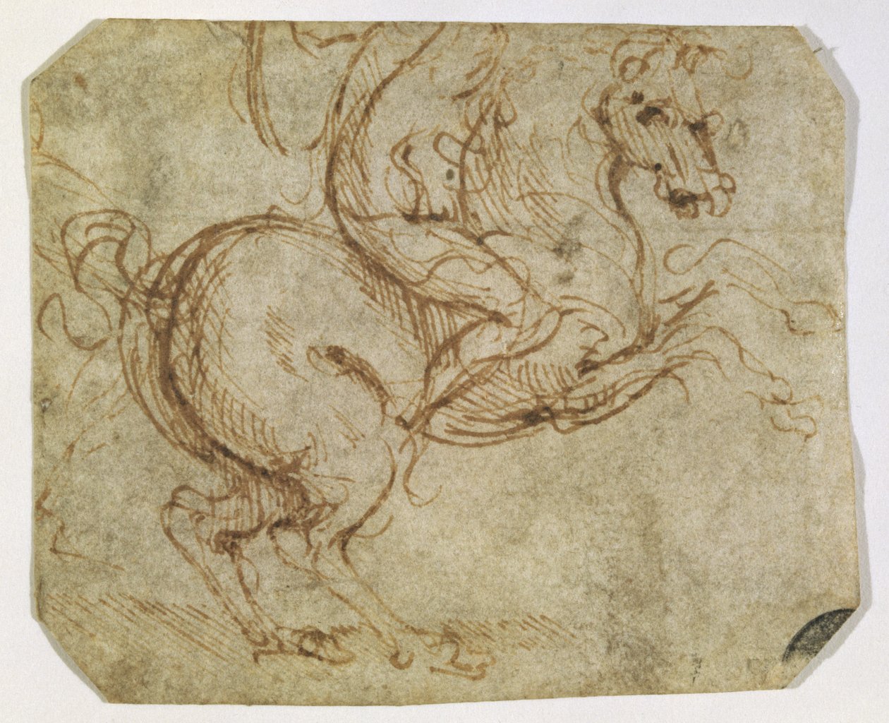 马和骑士（纸和笔在纸上） 作者 达芬奇（Leonardo da Vinci）