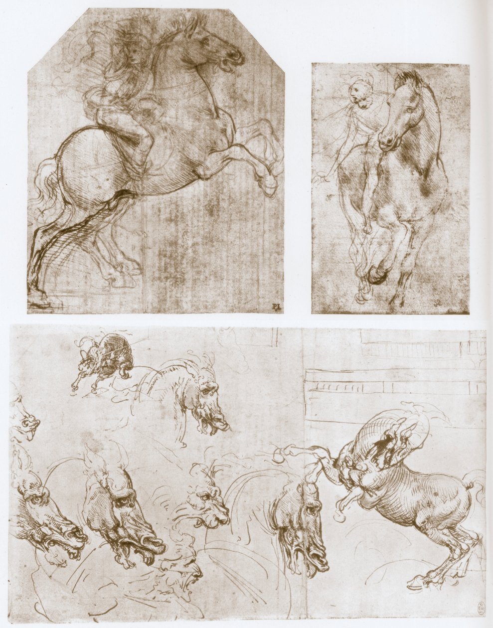 骑士（1480-1481）。 作者 达芬奇（Leonardo da Vinci）