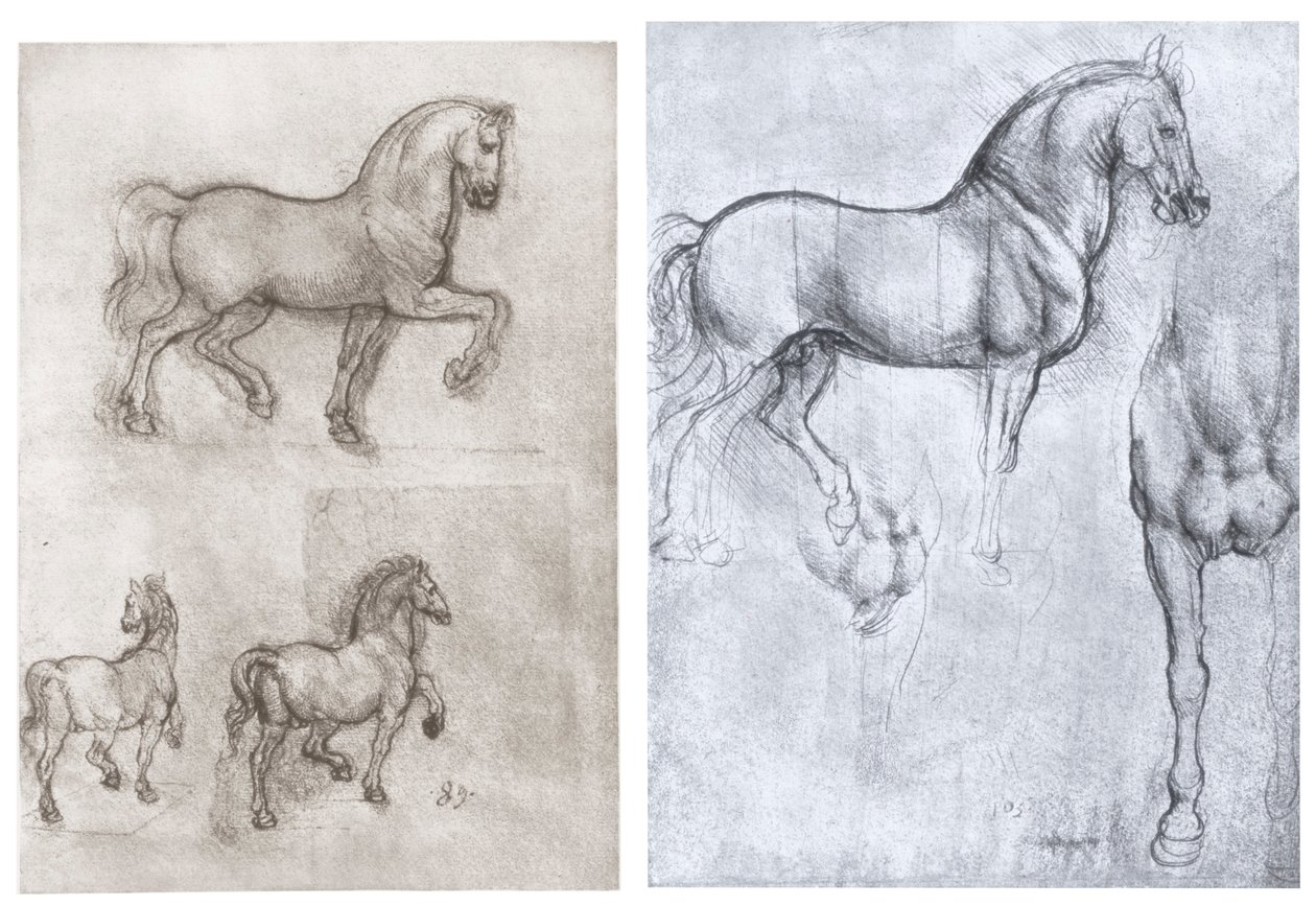 马，c1490-1510 作者 达芬奇（Leonardo da Vinci）