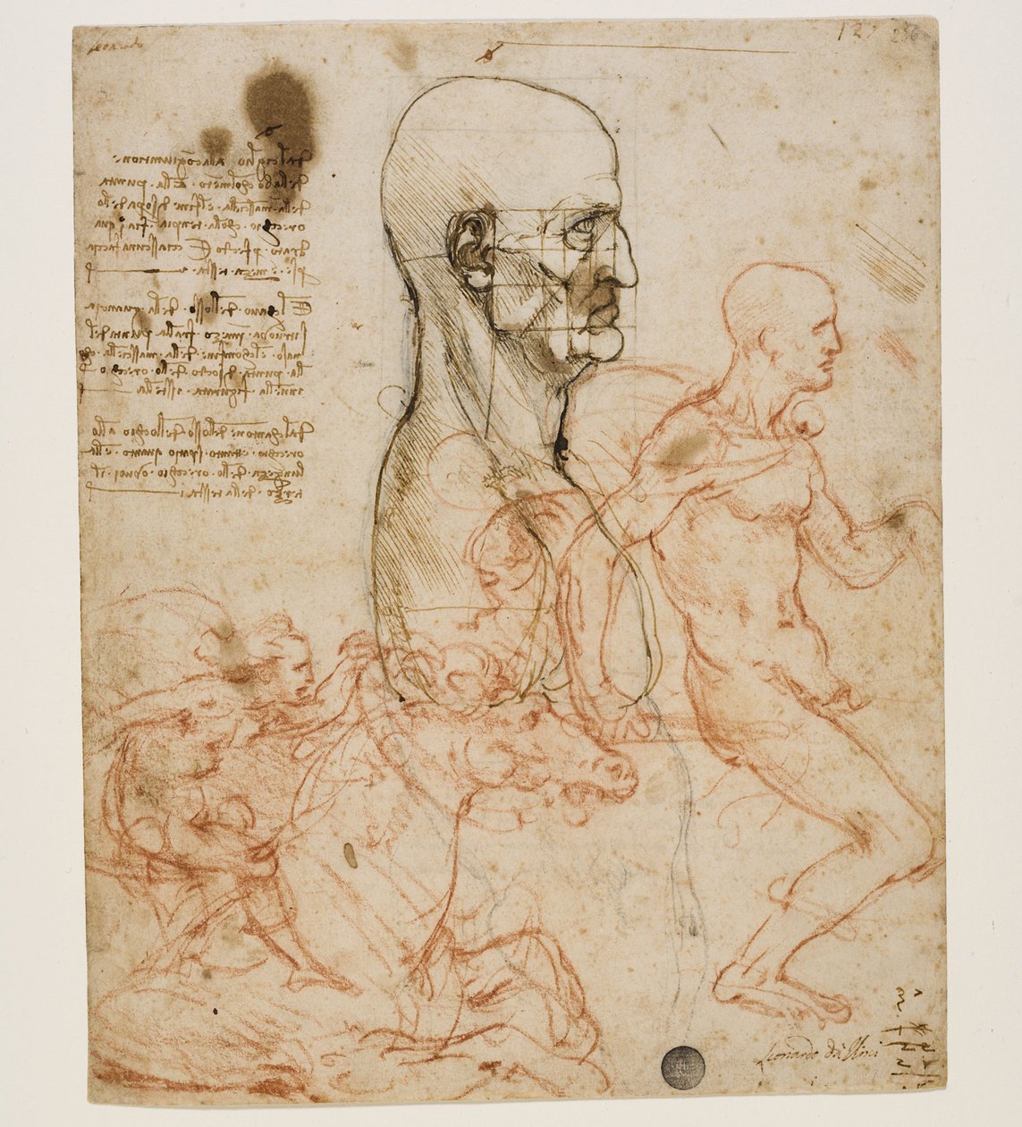 研究比例的人像半身像c。 1490-1499年。 作者 达芬奇（Leonardo da Vinci）