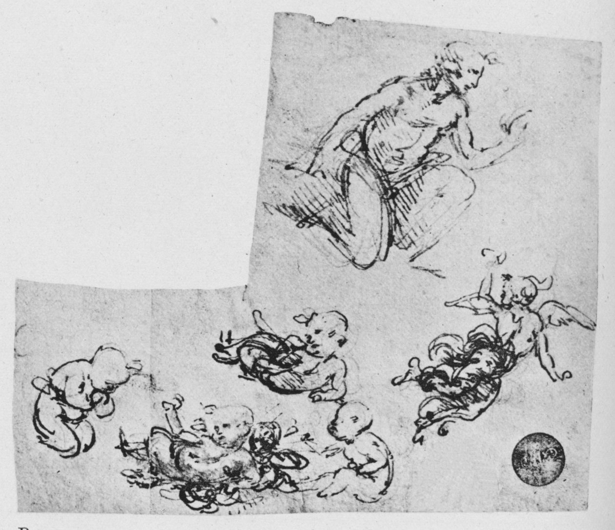 跪着青年和普蒂（c1480 1945） 作者 达芬奇（Leonardo da Vinci）