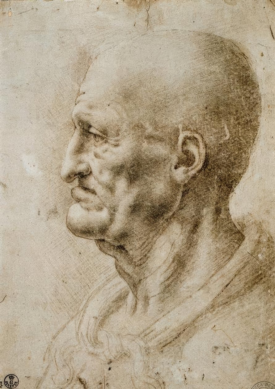 老人的头部研究 作者 达芬奇（Leonardo da Vinci）