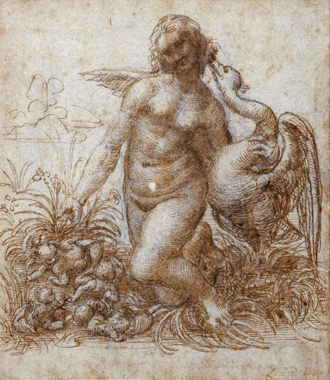 Leda and the swan (pen & brown ink over black chalk on paper) 作者 达芬奇（Leonardo da Vinci）