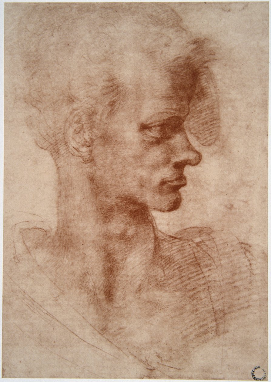 列奥纳多·达·芬奇（Leonardo da Vinci）（1452 - 1519）：一个年轻人的漫画肖像（想象） 作者 达芬奇（Leonardo da Vinci）
