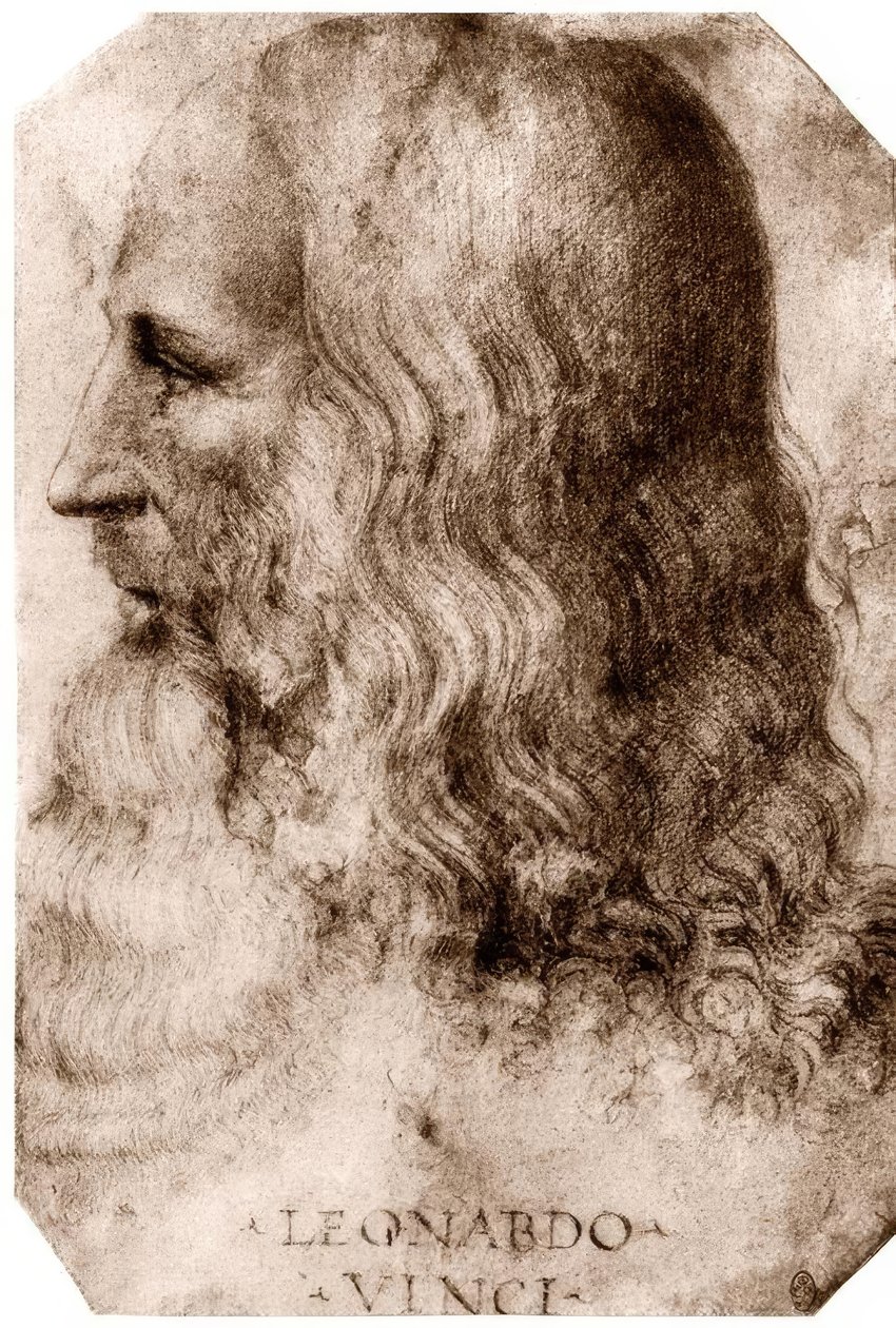 达芬奇（Leonardo da Vinci） 作者 达芬奇（Leonardo da Vinci）