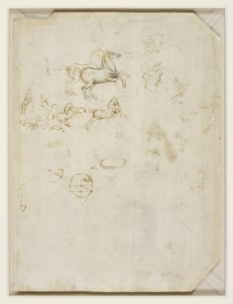 列奥纳多-达-芬奇 - Verso 奔马和尼禄的头像，约 1503-4 年 作者 达芬奇（Leonardo da Vinci）
