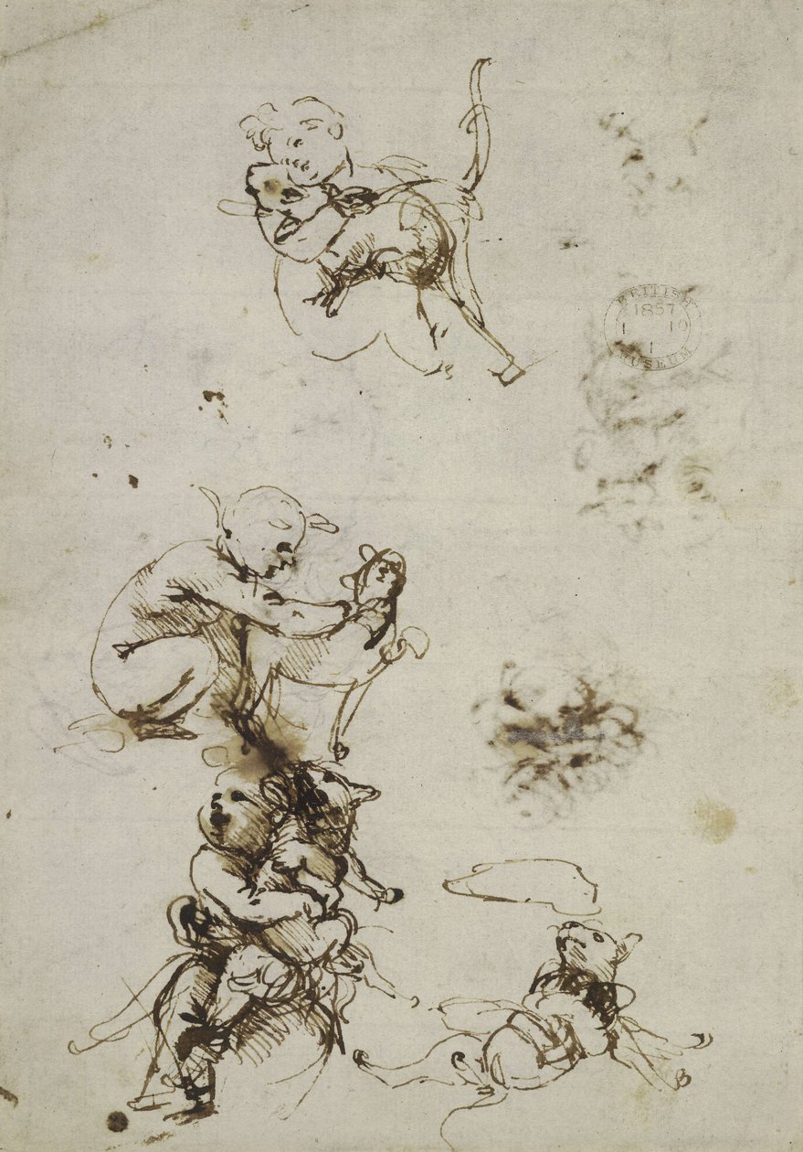 达芬奇，1857,0110.1 号文物 - 直面（大英博物馆） 作者 达芬奇（Leonardo da Vinci）