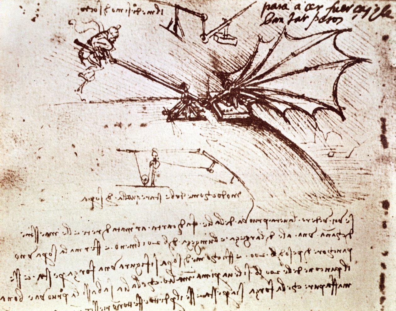 MS B fol.88v 测试机翼的负载容限 作者 达芬奇（Leonardo da Vinci）