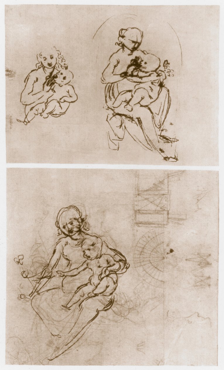 麦当娜与花，c1478。 作者 达芬奇（Leonardo da Vinci）