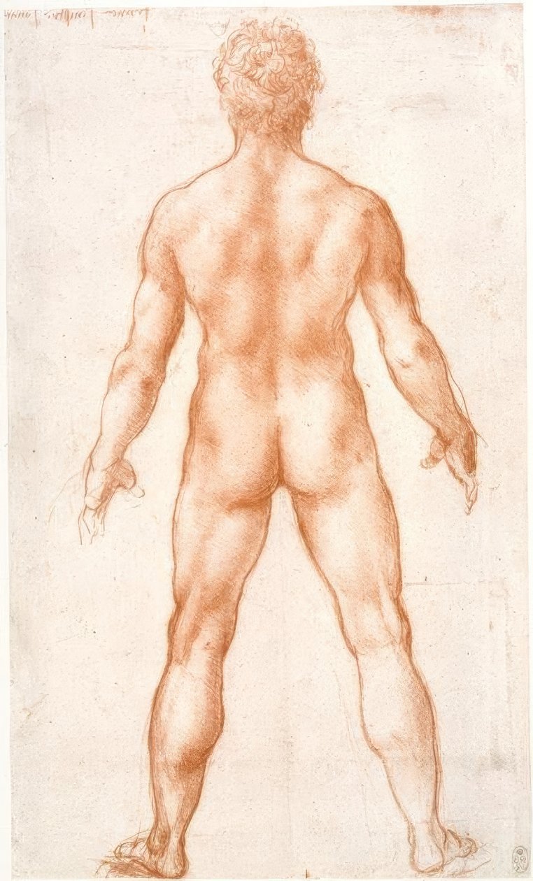 后视图中的男性裸体 作者 达芬奇（Leonardo da Vinci）