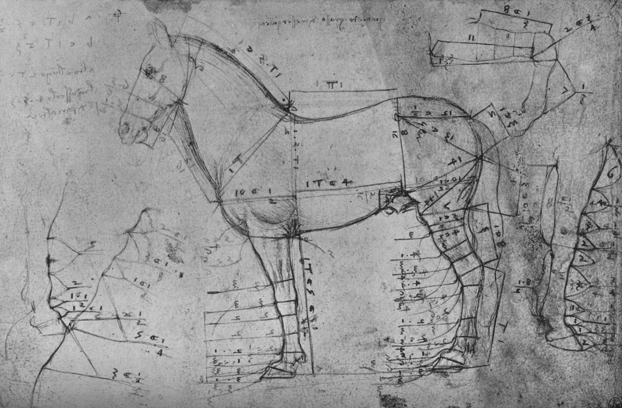 左侧轮廓中的一匹马的实测图，c1480 1945年 作者 达芬奇（Leonardo da Vinci）