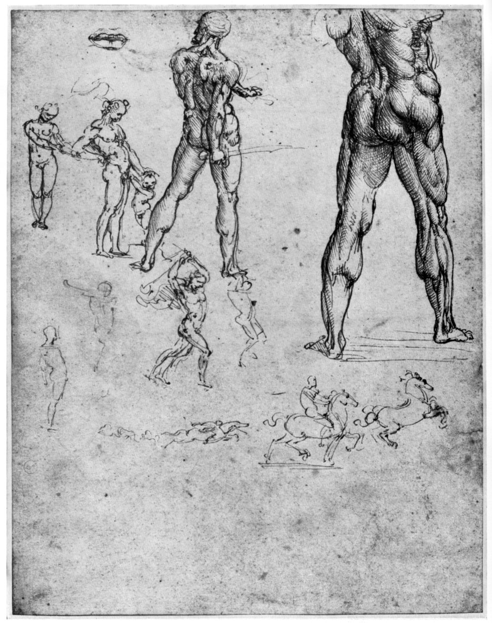 Anghiari战役的裸体研究，c1503-1505，1954年 作者 达芬奇（Leonardo da Vinci）