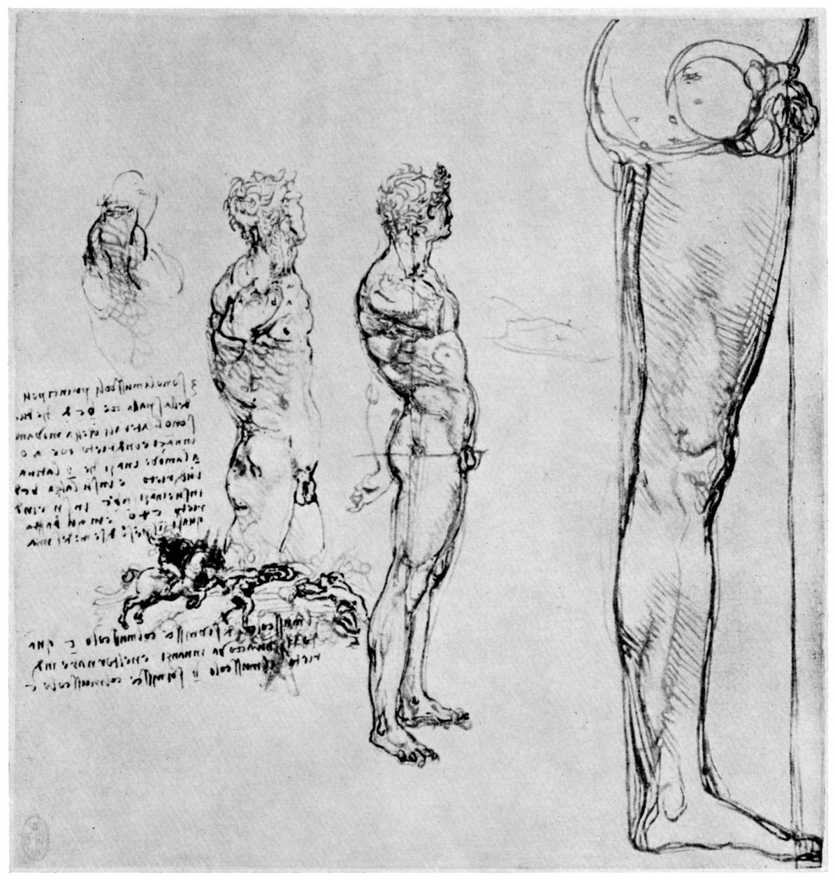 Anghiari战役的裸体研究，c1503-1505，1954年 作者 达芬奇（Leonardo da Vinci）
