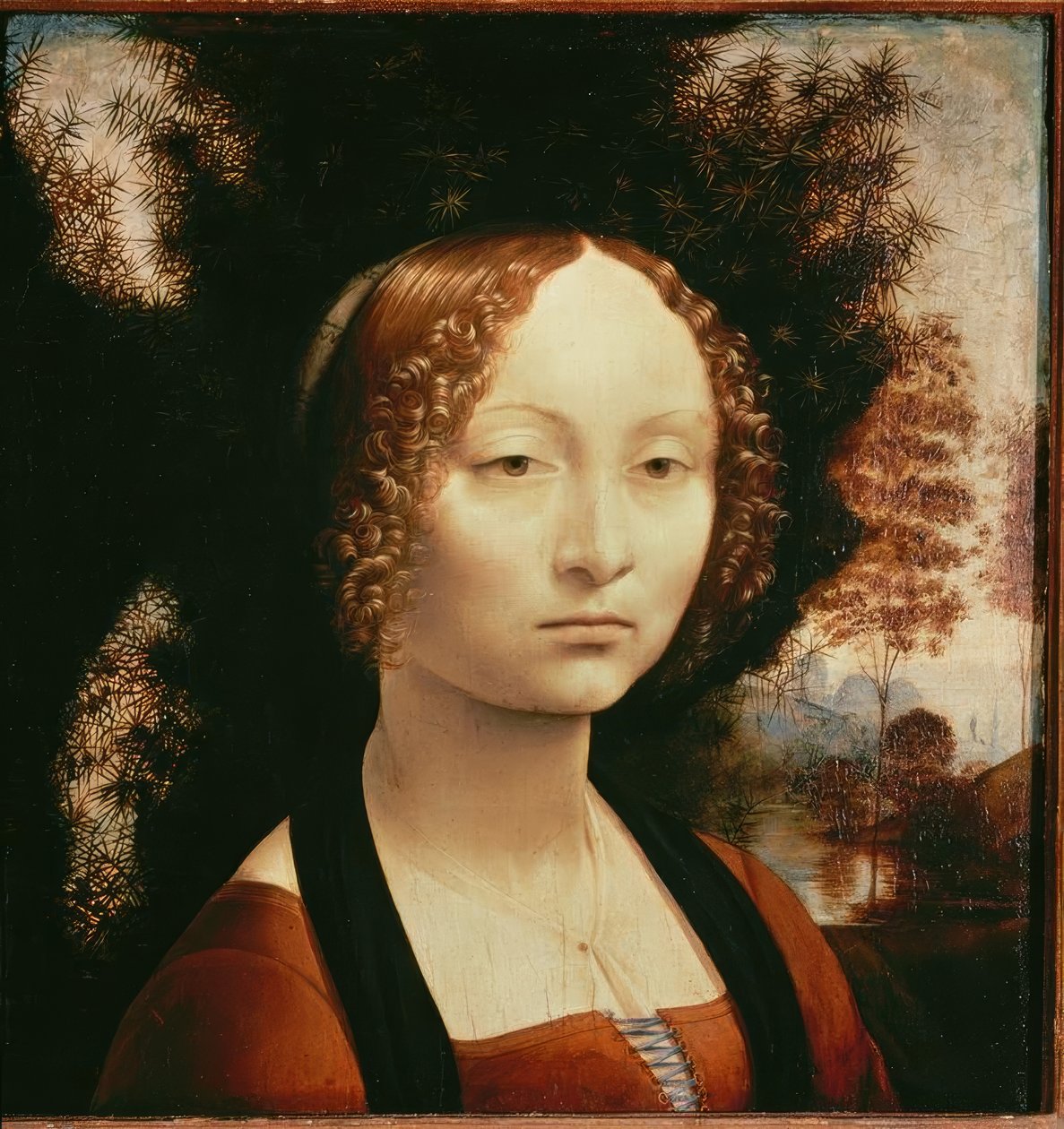 Ginevra Benci的肖像 作者 达芬奇（Leonardo da Vinci）