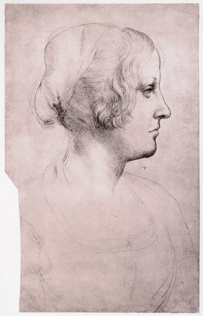 1493-1495年，一个戴着帽子的女孩的肖像 作者 达芬奇（Leonardo da Vinci）
