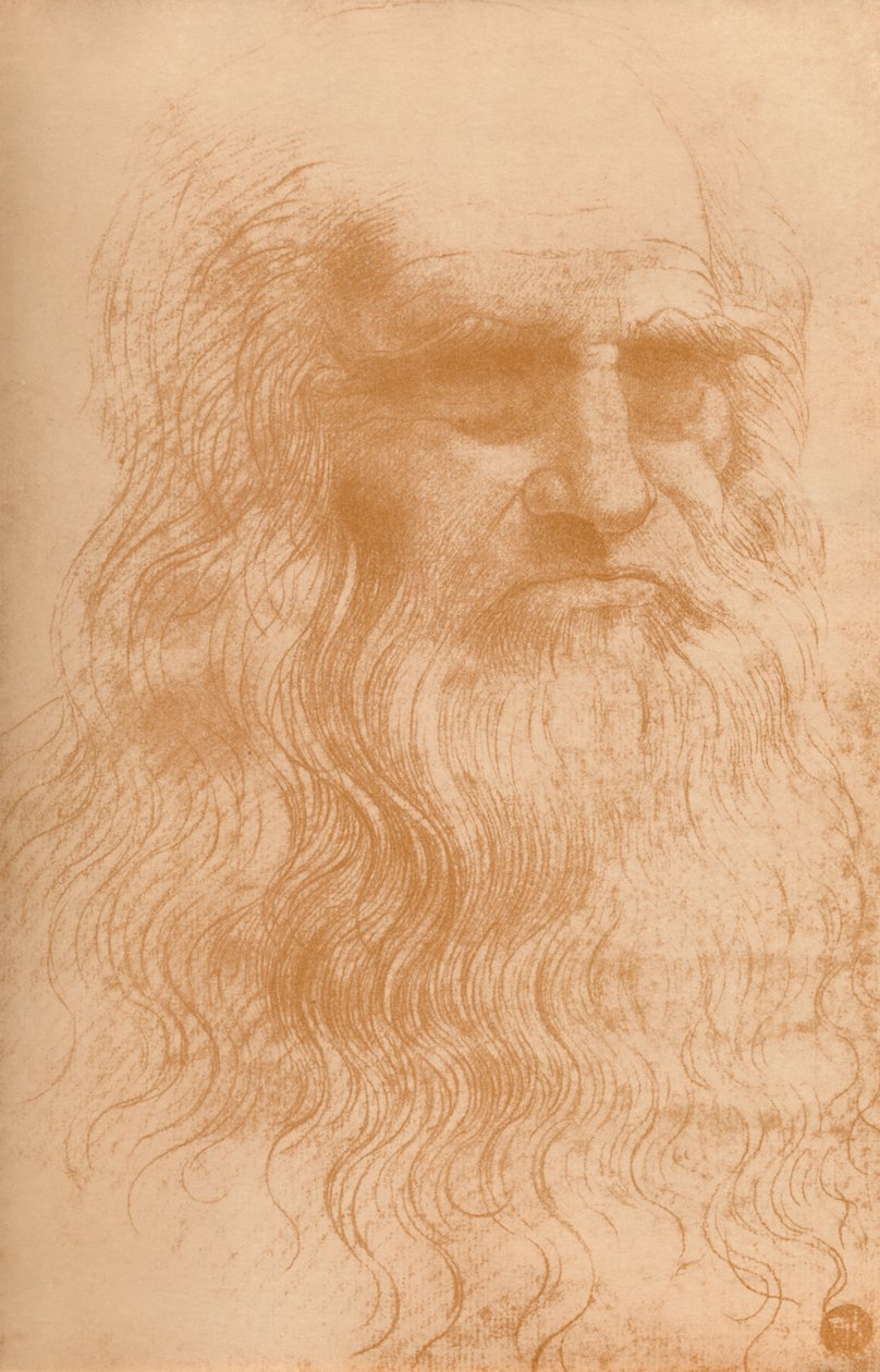 1932年，c1512年，一个穿着红色粉笔的男人的肖像 作者 达芬奇（Leonardo da Vinci）