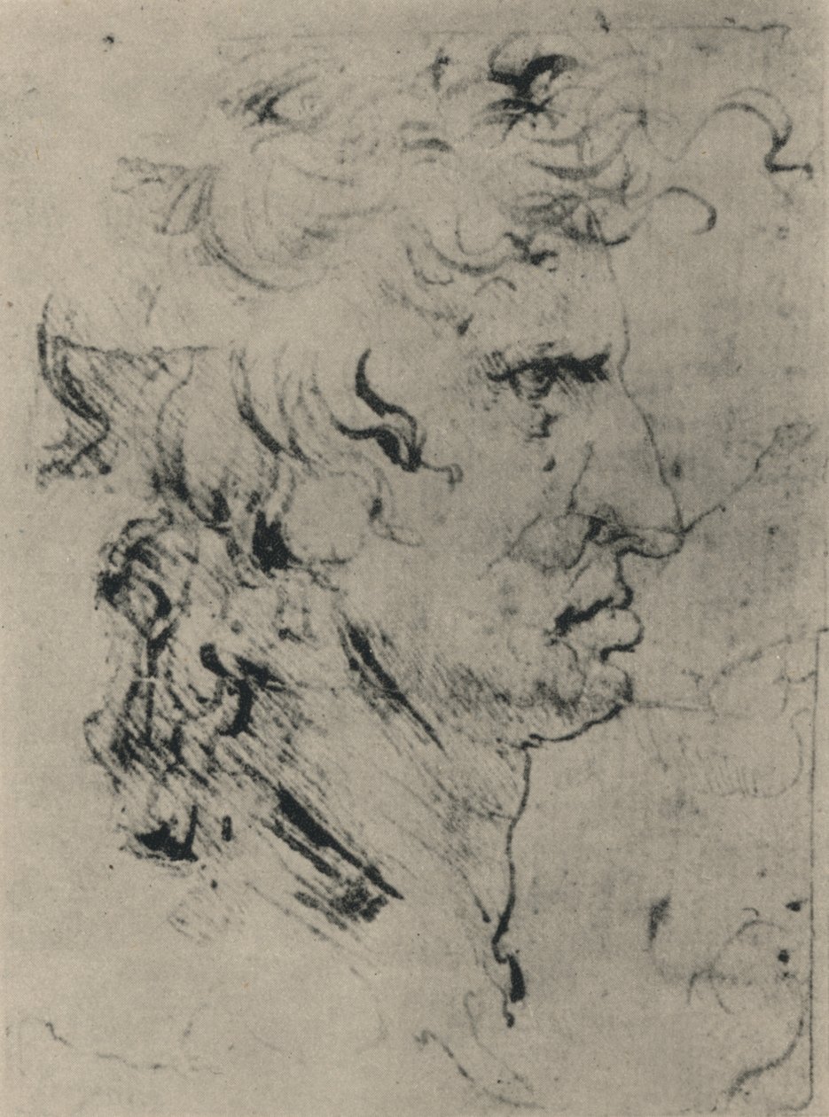 一个右边的人的简介，c1480 1945 作者 达芬奇（Leonardo da Vinci）