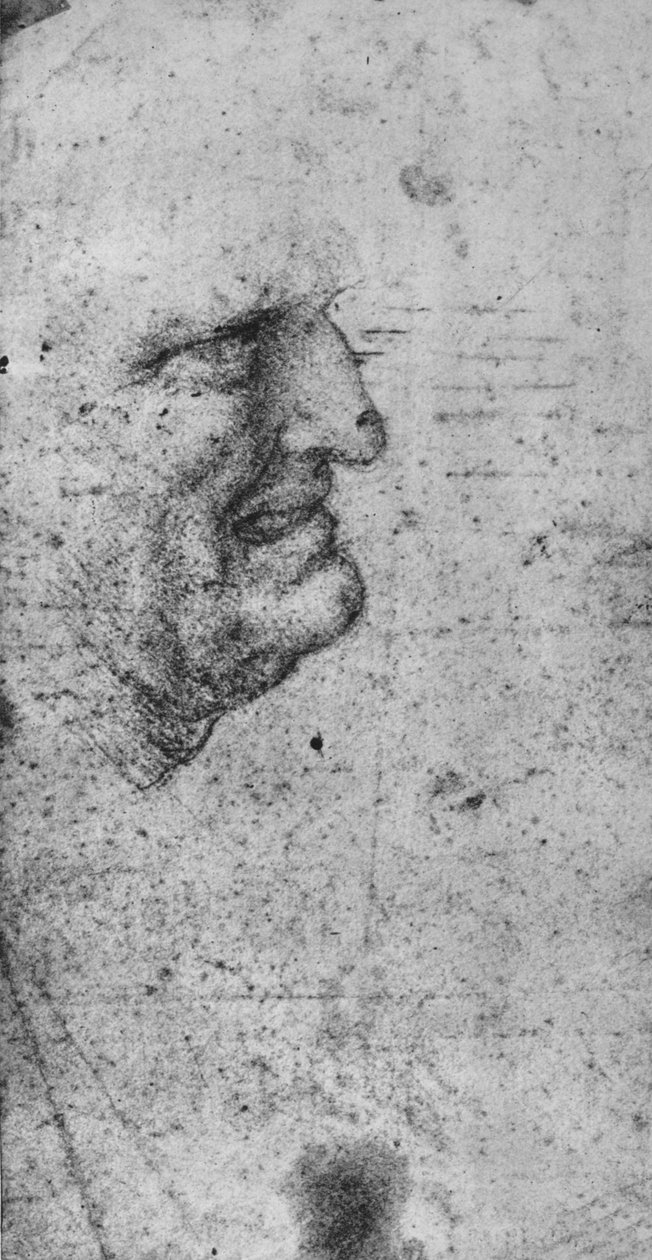 C牙男子的个人资料，c1480，1945年 作者 达芬奇（Leonardo da Vinci）