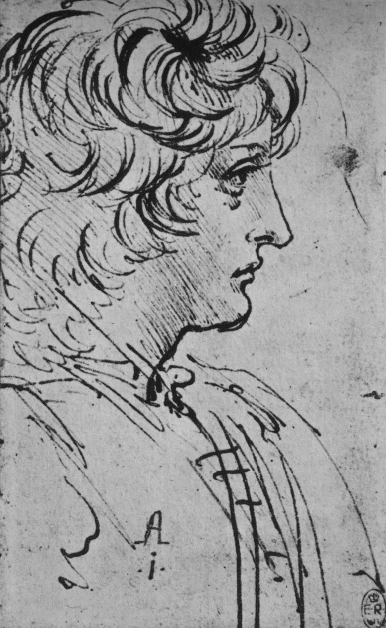 右翼青年的生平，c1480 1945 作者 达芬奇（Leonardo da Vinci）