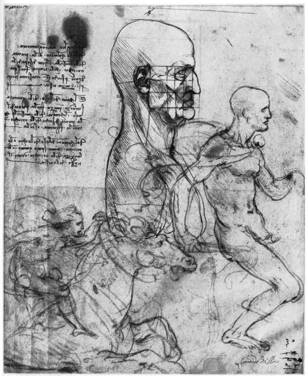 勒芒的头像和对两个骑手c1490和c1504 1954的研究。 作者 达芬奇（Leonardo da Vinci）