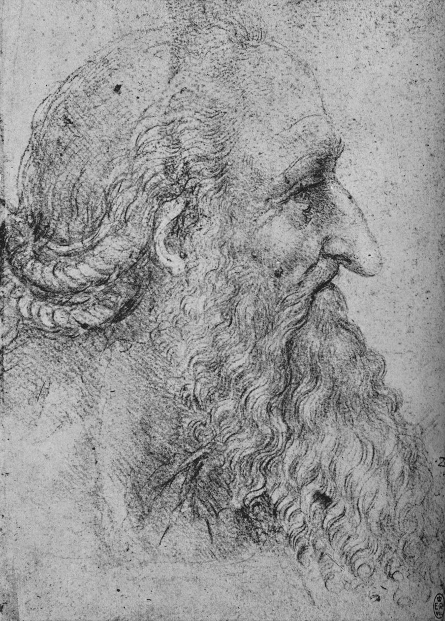 右大胡子老人的简介，c1480 1945年 作者 达芬奇（Leonardo da Vinci）