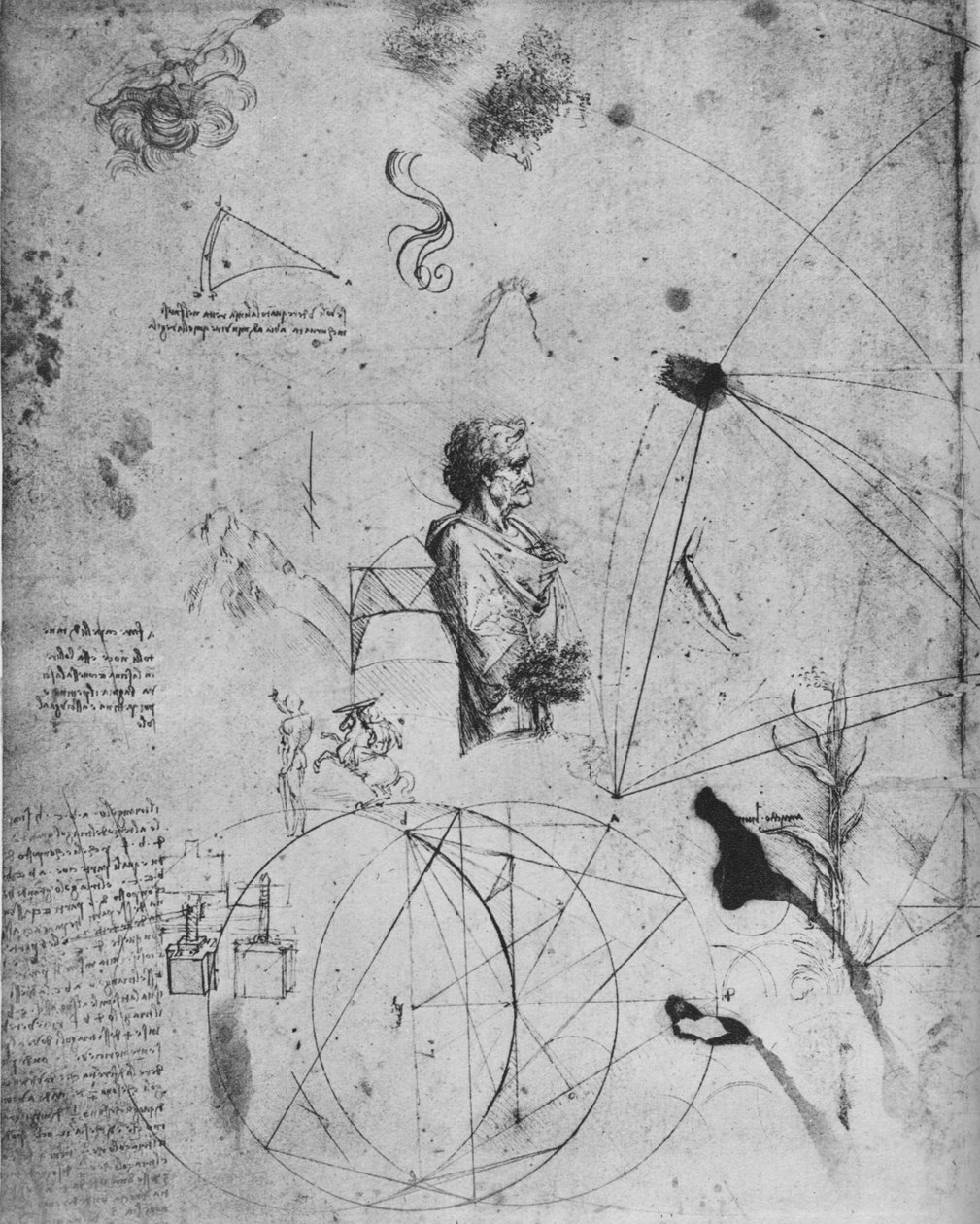 一位老人的轮廓，植物，几何图形，等等，c1480 1945 作者 达芬奇（Leonardo da Vinci）