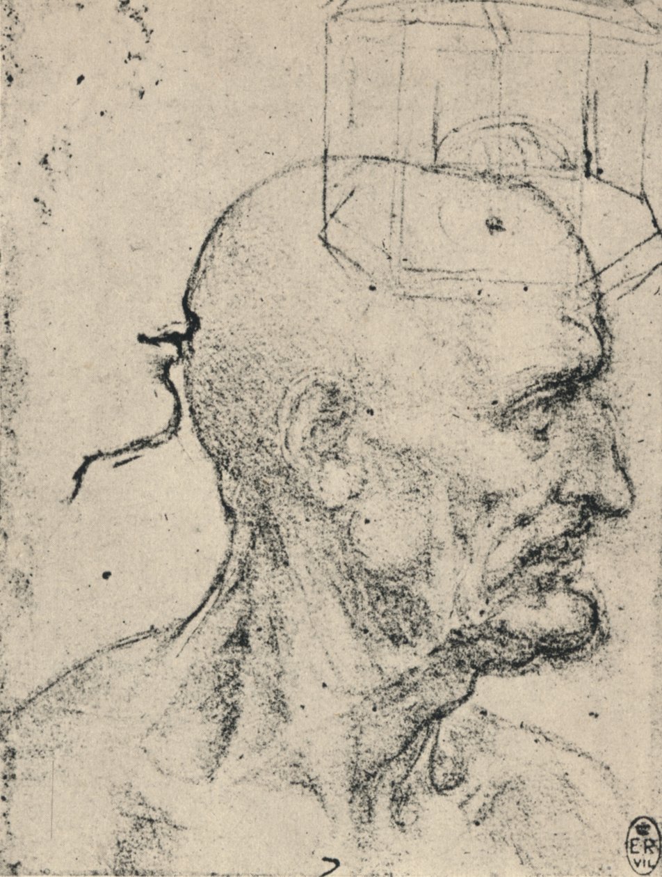 秃头男子的头像，c1480 1945年 作者 达芬奇（Leonardo da Vinci）