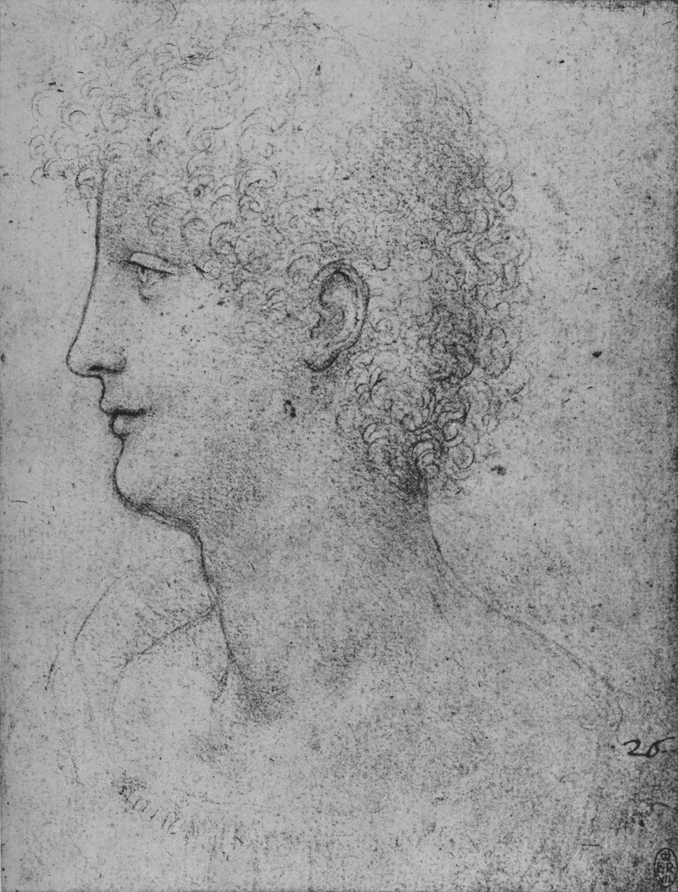 卷曲青年的左翼轮廓，c1480 1945年 作者 达芬奇（Leonardo da Vinci）