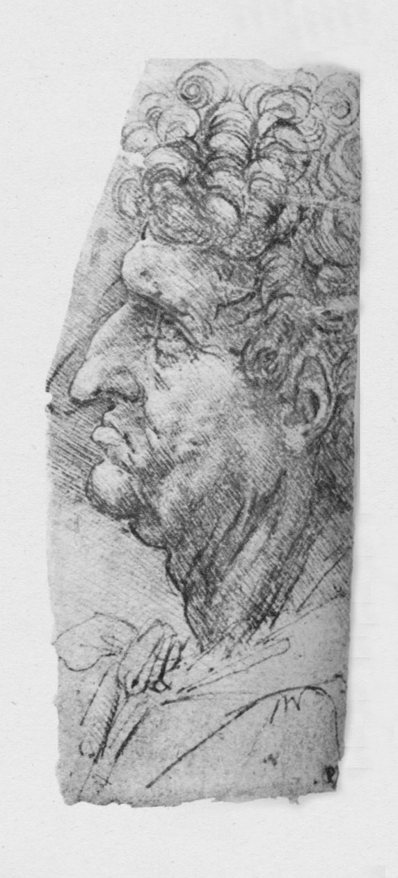 一位卷发老人的左侧轮廓，c1480 1945年 作者 达芬奇（Leonardo da Vinci）