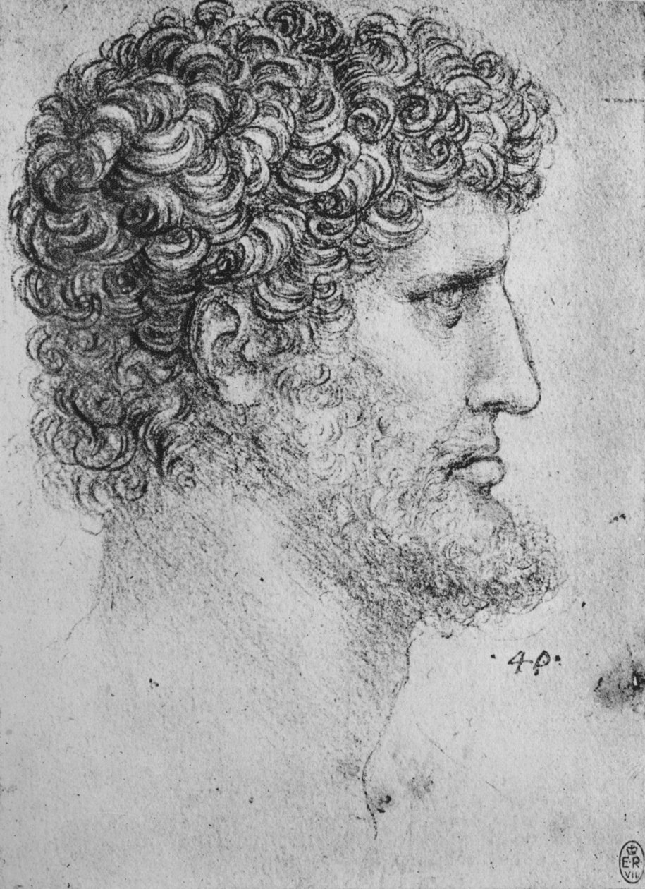 胡子男人右边的轮廓，c1480 1945年 作者 达芬奇（Leonardo da Vinci）