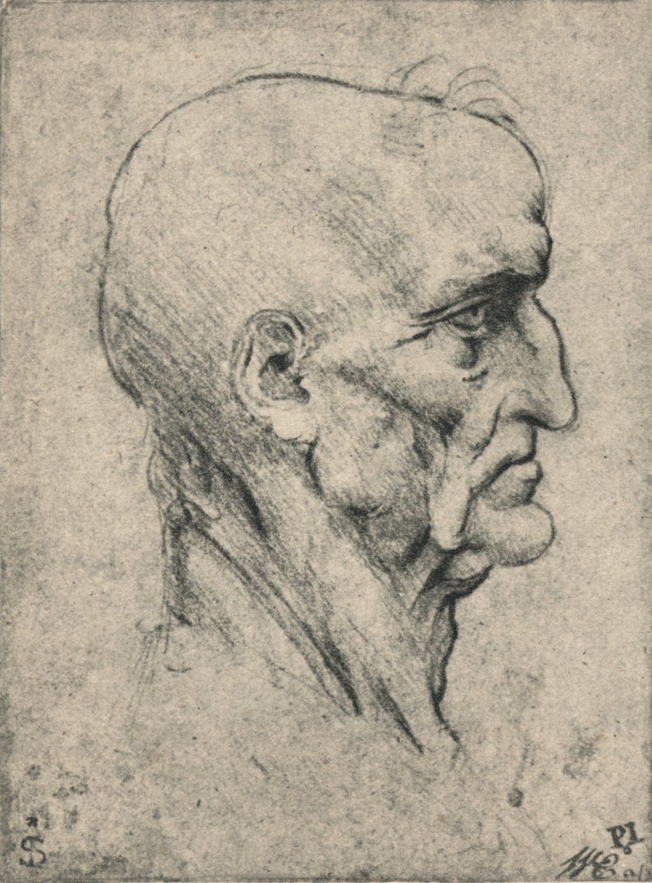 一位老年秃头男子的简介，c1480 1945年 作者 达芬奇（Leonardo da Vinci）