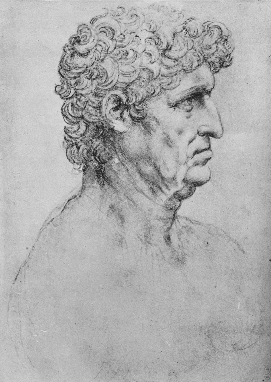 一位老人的右侧简介，c1480 1945年 作者 达芬奇（Leonardo da Vinci）
