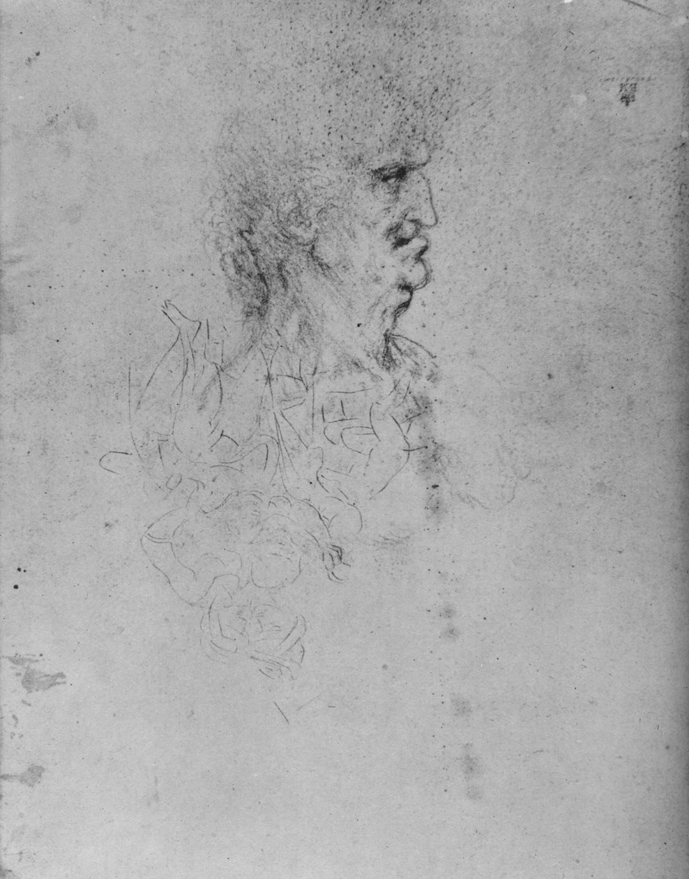 一位老人右侧的简介，c1480 1945年 作者 达芬奇（Leonardo da Vinci）