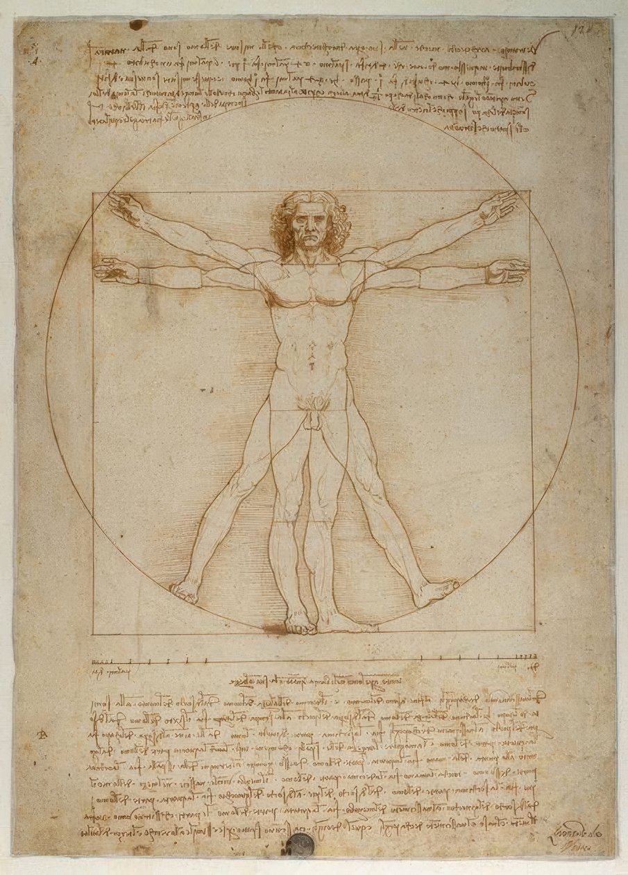 根据维特鲁威的人形比例方案 作者 达芬奇（Leonardo da Vinci）