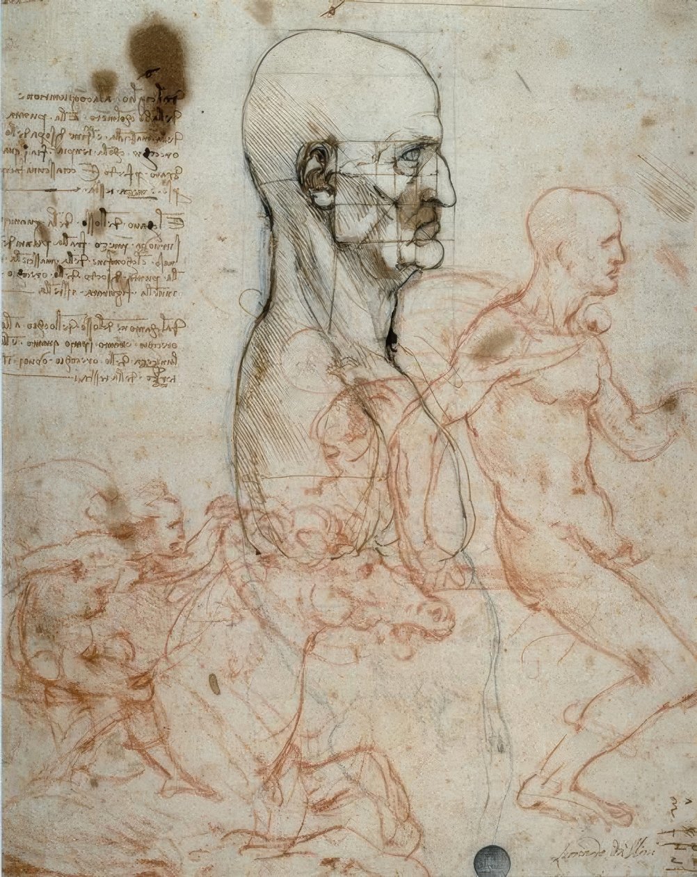 人体头部和骑手研究的比例方案 作者 达芬奇（Leonardo da Vinci）