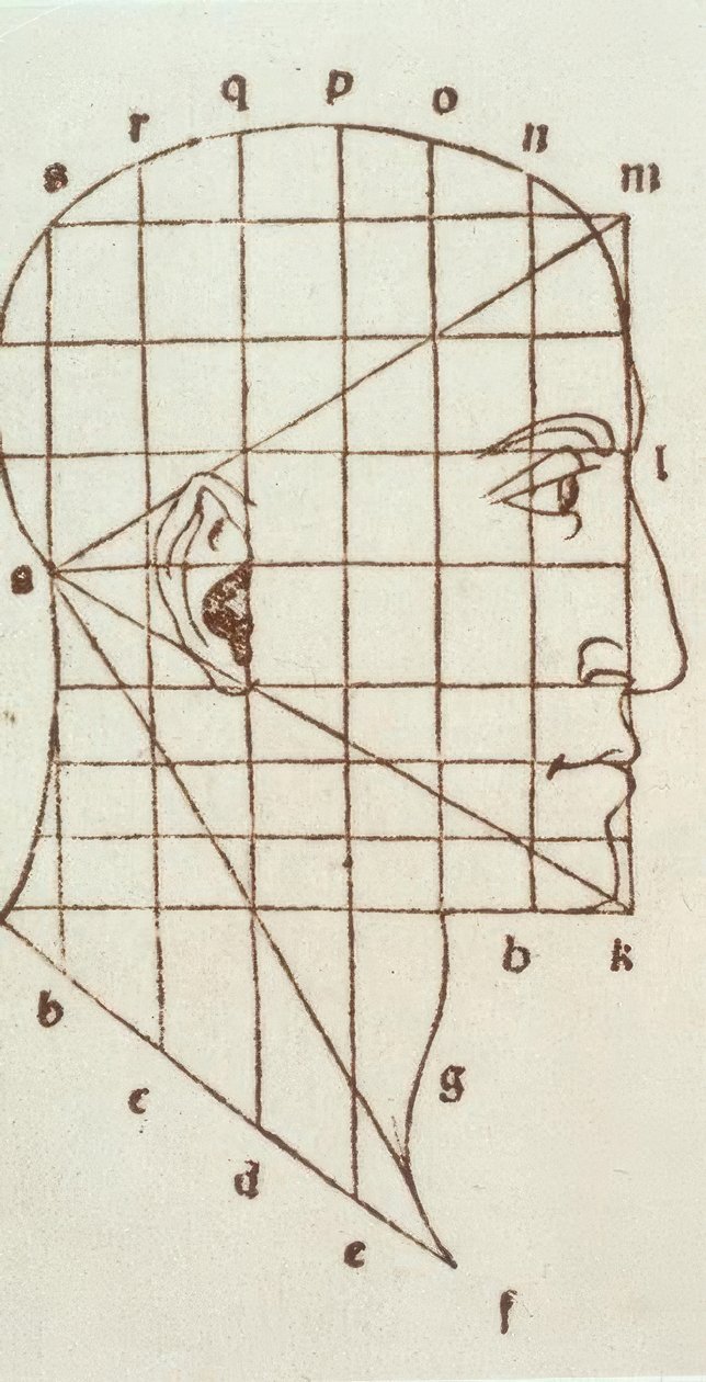 人头的比例研究 作者 达芬奇（Leonardo da Vinci）