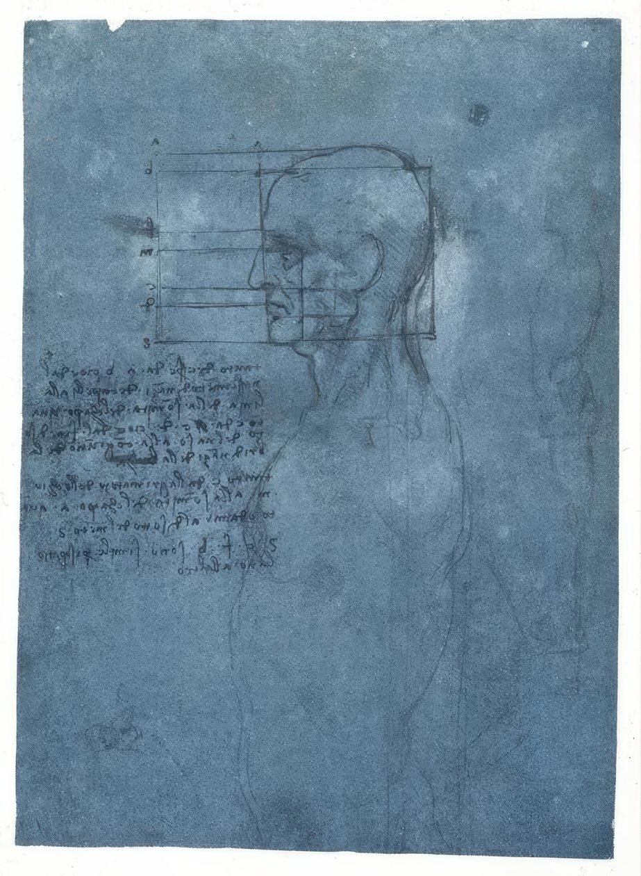 男性头部轮廓的比例研究 作者 达芬奇（Leonardo da Vinci）