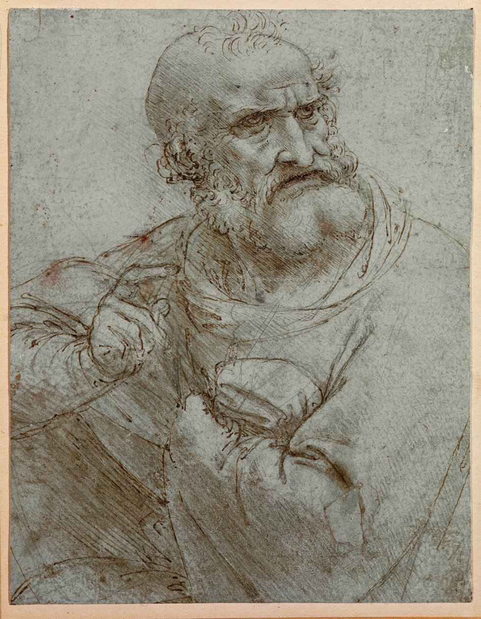  作者 达芬奇（Leonardo da Vinci）