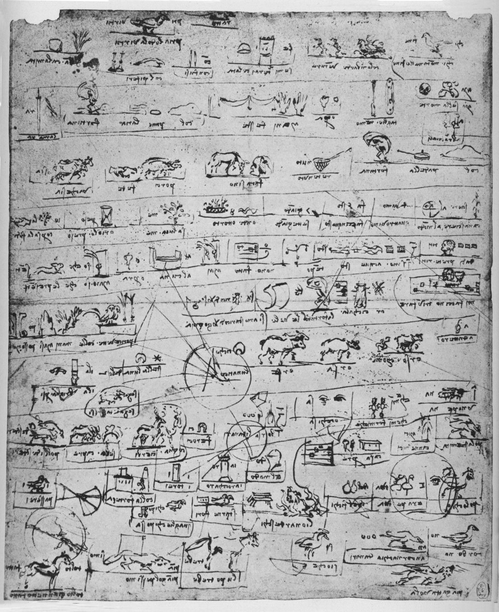 象形文字表，c1480 1945 作者 达芬奇（Leonardo da Vinci）